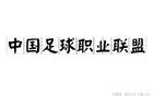 職業(yè)聯(lián)盟與俱樂部會員制，國內(nèi)足壇有效之策？