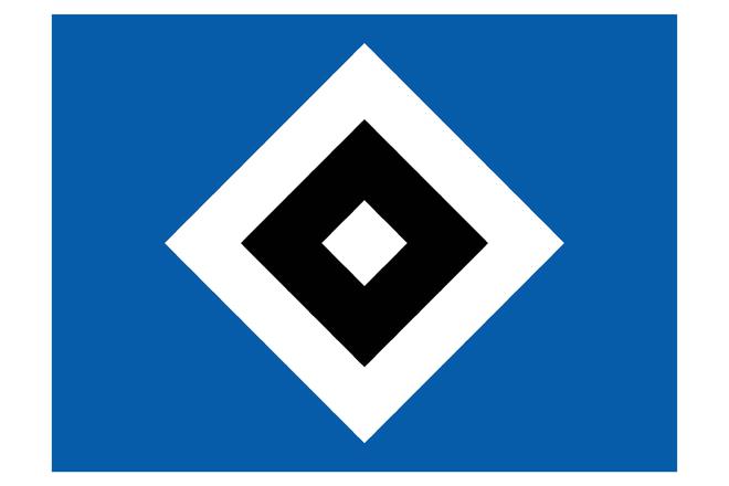 7年后，漢堡勝保級(jí)隊(duì)，重返德甲。