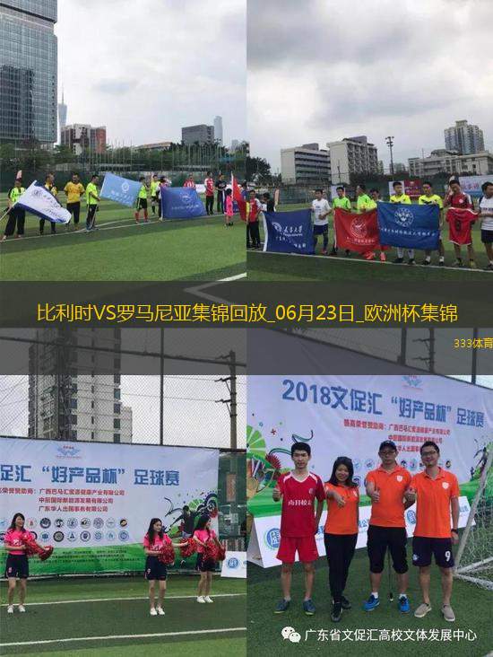 06月23日歐洲杯小組賽E組第2輪比利時vs羅馬尼亞進球視頻