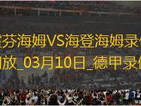 德甲第25輪霍芬海姆1-1海登海姆