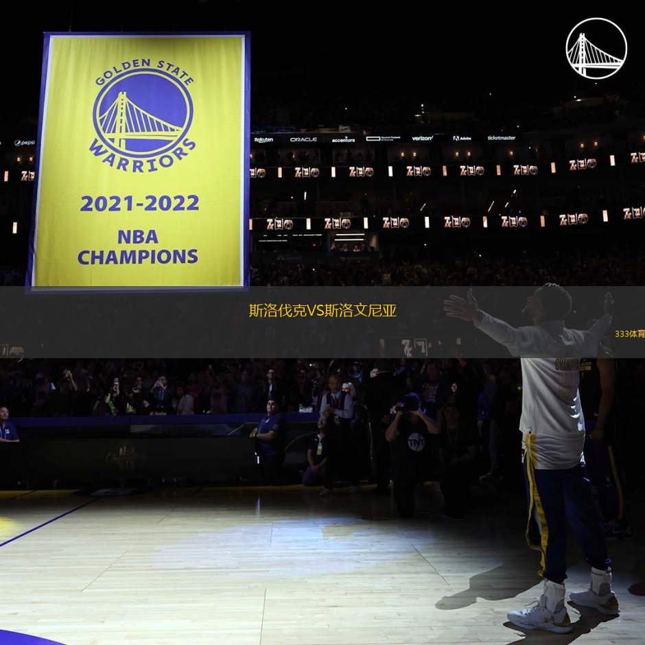 斯洛伐克VS斯洛文尼亞