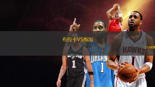 布拉卡VS梅加