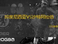 印度尼西亞VS沙特阿拉伯