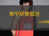 意甲聯(lián)賽概述