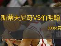 斯蒂夫尼奇VS伯明翰